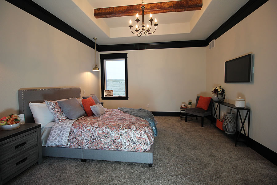 Bedroom with tray ceiling
